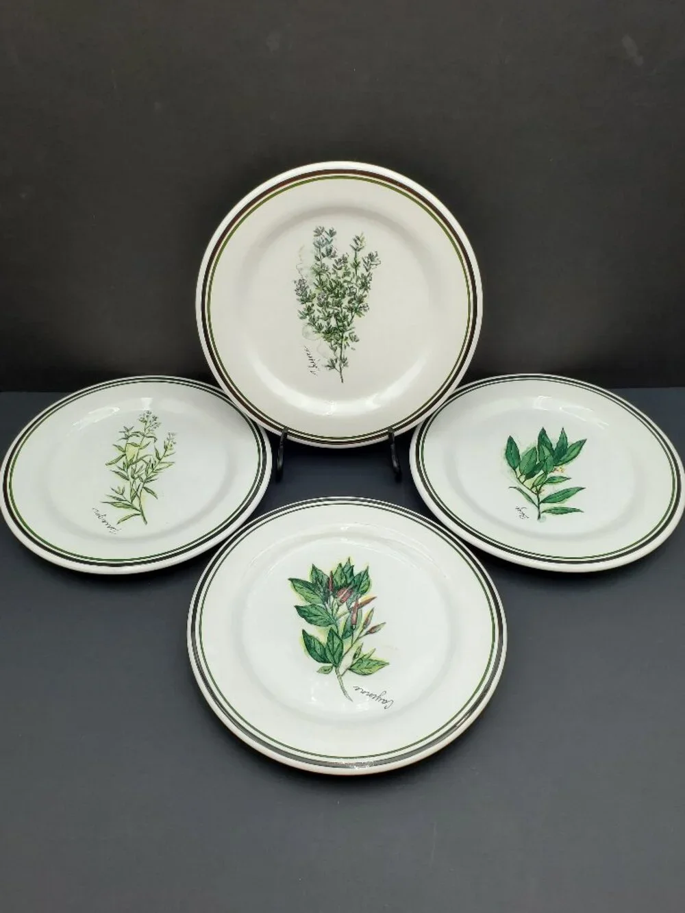 Williams-Sonoma Culinary Herbs Salad Plates Williams Sonoma WSO24 Dessert Plates